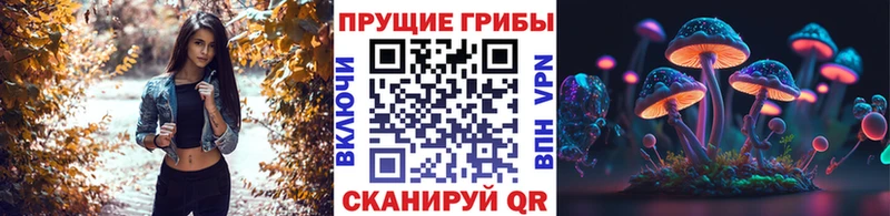 где купить наркоту  Арск  Псилоцибиновые грибы MAGIC MUSHROOMS 